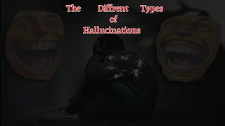 What Is Each Hallucination Type Like?