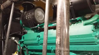 Huge Hospital Generator