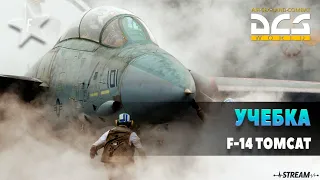 DCS World | Учебка | F-14 Tomcat