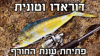 דיג בז׳ירז׳ור מהחוף | פייט מטורף עם דוראדו | mahi mahi