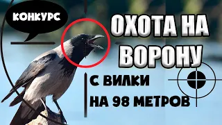 Охота на Ворону и Сороку в Ноябре. Crow Hunting 2021. Кроухантинг с пневматикой. Jack Hunter.