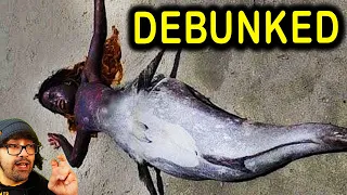 Mermaid Found In South Africa DEBUNKED!