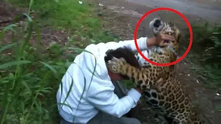 5 Scary Big Cat Encounters That Will Send Chills Up Your Spine