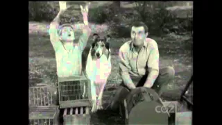 Lassie - Episode #322 - "A Matter of Pride" - Season 9, Ep. 31 - 05/12/1963