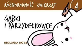 Różnorodność zwierząt 4 - Gąbki i parzydełkowce - matura z biologii rozszerzona