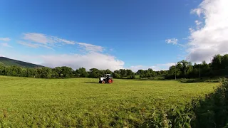 Case 1494 Topping A Meadow | Timelapse | (3)