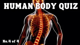 Can You Pass This Human Body Quiz?  Quiz No.4 of 4