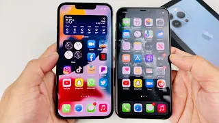 iPhone 13 Pro vs iPhone 11 Pro - Worth the Upgrade?