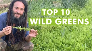 10 Wild Edible Greens to Harvest- Foraging Plants