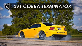 SVT Cobra Terminator | Still Smoking Imports