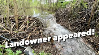 Draining Beaver Dam || Saving Crops!