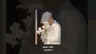 Я схожу с ума мне мало мало мало тебя - серебро  // speed up // tiktok remix