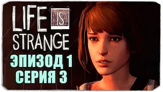 LIFE IS STRANGE - ЭПИЗОД 1 - СЕРИЯ 3 (ХРИЗАЛИДА)