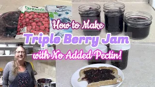 Triple Berry Jam from Frozen Fruit | No Pectin Needed | No Canning required
