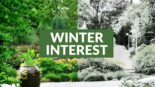 ❄️ 4-Season Gardens START with Winter Interest (Tips & Tricks)