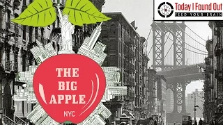 Why is New York City Called the Big Apple?