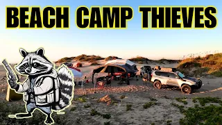 South Padre Island remote BEACH CAMPING Adventure FIVE DAYS! DAY TWO