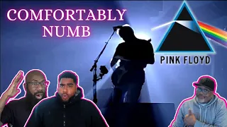 Pink Floyd - 'Comfortably Numb LIVE Pulse Concert' Reaction! Powerful Guitar Solo, Deep Lyrics!