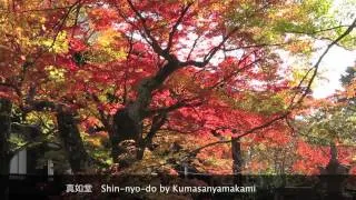 真如堂と紅葉　Shinnyodou & Red leaves Kyoto Japan