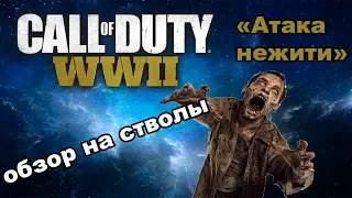 TYPE 2, ПТРС-41, МУШКЕТОН | CALL OF DUTY WW2