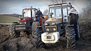 Jesień 2015 w Gospodarstwie Rolnym Mokrzyn