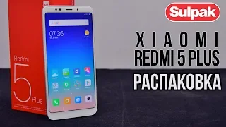 Смартфон Xiaomi Redmi 5 Plus 32 Gb (Gold) распаковка (www.sulpak.kz)