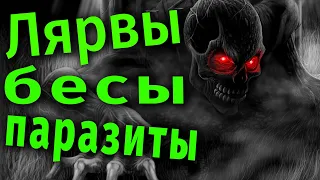 Откуда у нас лярвы и зачем они нужны?