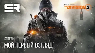 Tom Clancy's The Division 2: Мой Первый Взгляд!