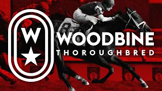 Woodbine, Tbred, May 5, 2024 Race 6 | Woodbine Horse Race Replay