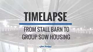 Group Sow Housing Remodel Timelapse - New Standard Group