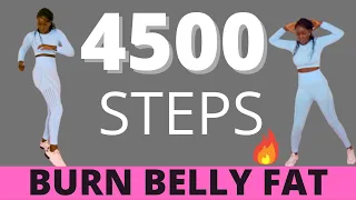🔥 4500 STEPS CHALLENGE 🔥 | FUN FAT BURNING STEP WORKOUT | LOSE BELLY FAT