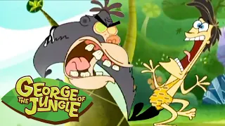 On The Run From Ape! 🏃‍♂️💨 | George of the Jungle | 1 Hour Episode Compilation | Cartoons For Kids