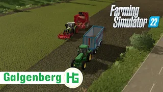 Beet Harvest With 4755 FS22 Timelapse Galgenberg #3