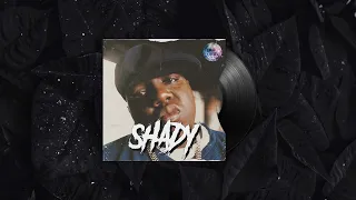 [ FREE FOR PROFIT ] DARK BOOM BAP TYPE BEAT | "SHADY" | UNDERGROUND BOOM BAP TYPE BEAT 2023