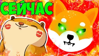 SHIBA INU КОГДА ЗАПУСТЯТ ШИБАРИУМ ВАШ ДЕПОЗИТ ДАСТ 10 ИКСОВ! ПОЧЕМУ ПОКУПАТЬ БУДЕТ УЖЕ ПОЗДНО?