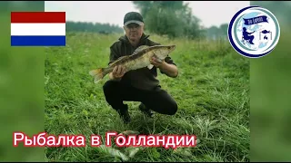 НАШЛИ ШИКАРНОЕ МЕСТО В ГОЛЛАНДИИ. Судак, Окунь, Угорь. Fishing in Netherlands.