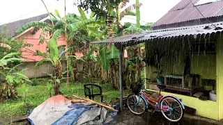 Super Heavy Rain in My Village | Very cold, Sleep instantly with the sound of heavy rain - ASMR