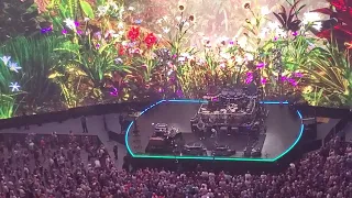 Dead & Company - Bird Song - Sphere, Las Vegas May 16, 2024