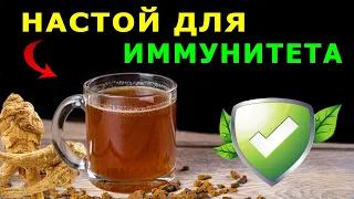 How to restore immunity and health after antibiotics – the best natural way