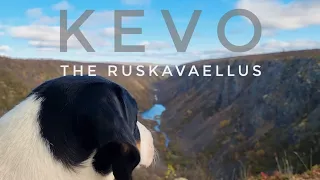 Kevo 2023 | Ruskavaellus lumituiskussa ja patjarikko yöllä | Ruskaretki Lapissa