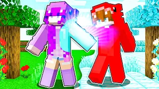 Dagar Convierte Todo en Diamante en Minecraft!