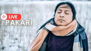 Pakari(Yupanki) - Music From The Andes