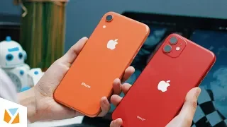 iPhone 11 or iPhone XR? - Before you choose...