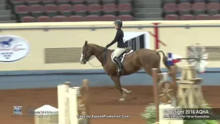 A Judge's Perspective: 2016 AQHYA Equitation Over Fences World Champion