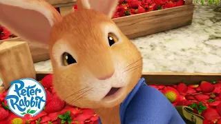 @OfficialPeterRabbit - Searching for Strawberries This #Spring 🍓 🍓 🍓 🍓 | Cartoons for Kids