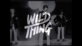 the troggs   " wild thing " 2021 new stereo mix.....