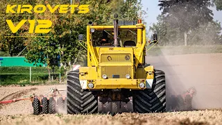 Das Monster aus dem OSTBLOCK - SOUND - Russenkuh - KIROVETS K 701 - V12 ▶ Agriculture Germanyy