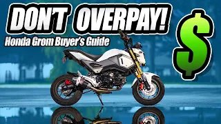 Ultimate Honda Grom Buyer's Guide