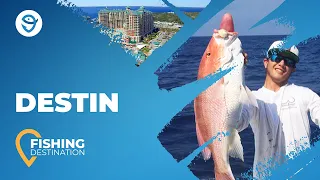 Fishing in Destin 2022: The Ultimate Guide Revisited | FishingBooker