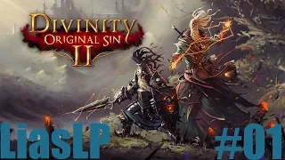 Lets Play: Divinity Original Sin 2 Gameplay -  Part 1